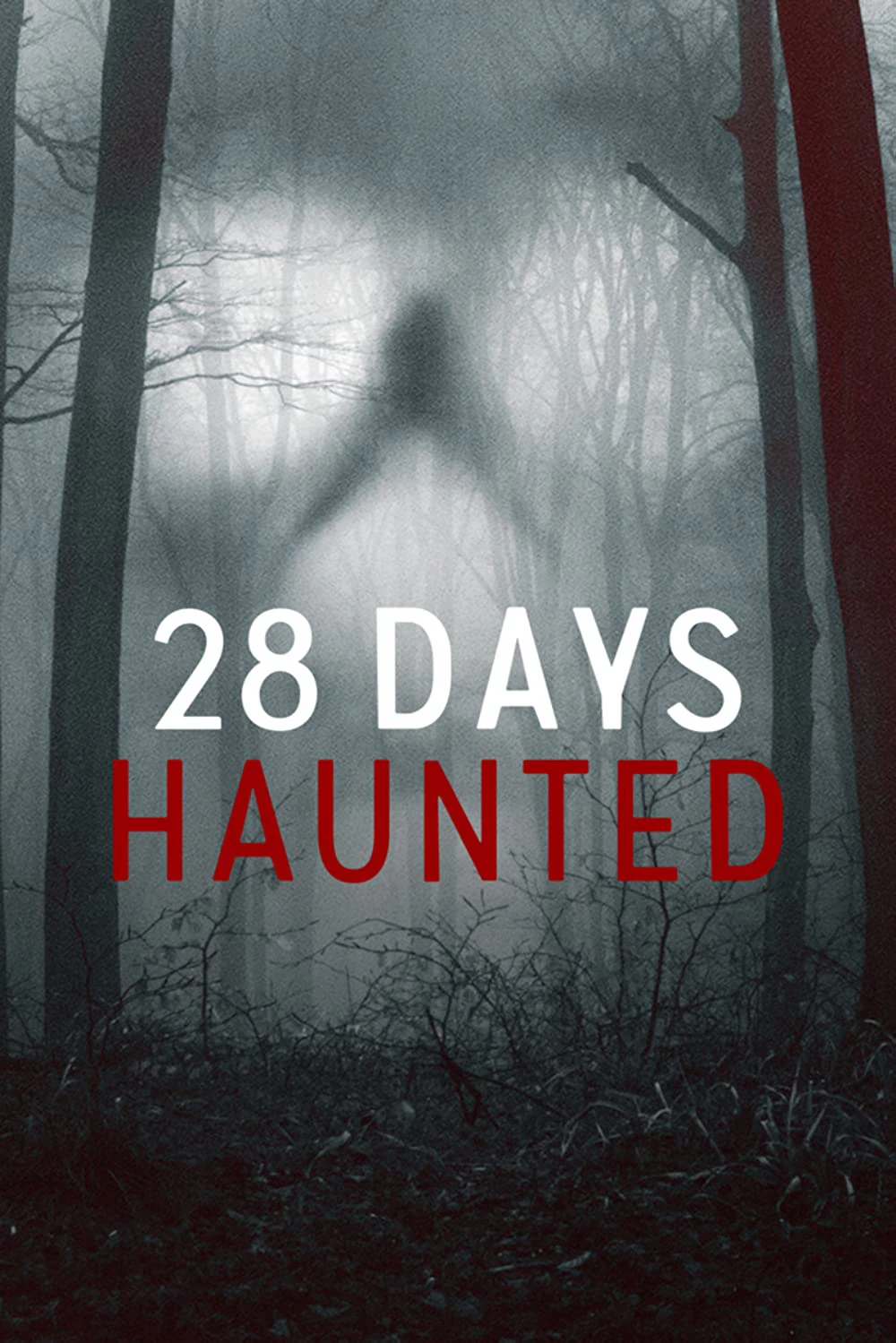 Phim 28 ngày ma ám - 28 Days Haunted (2022)