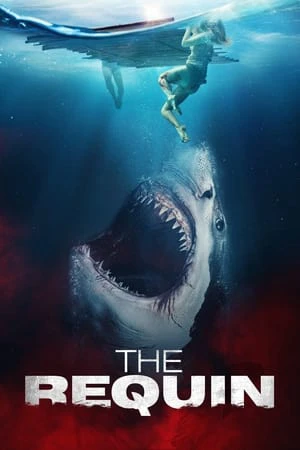 Phim Cá Mập Trắng Khổng Lồ - The Requin (2022)