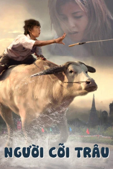 Phim Người Cỡi Trâu - Buffalo Rider (2015)