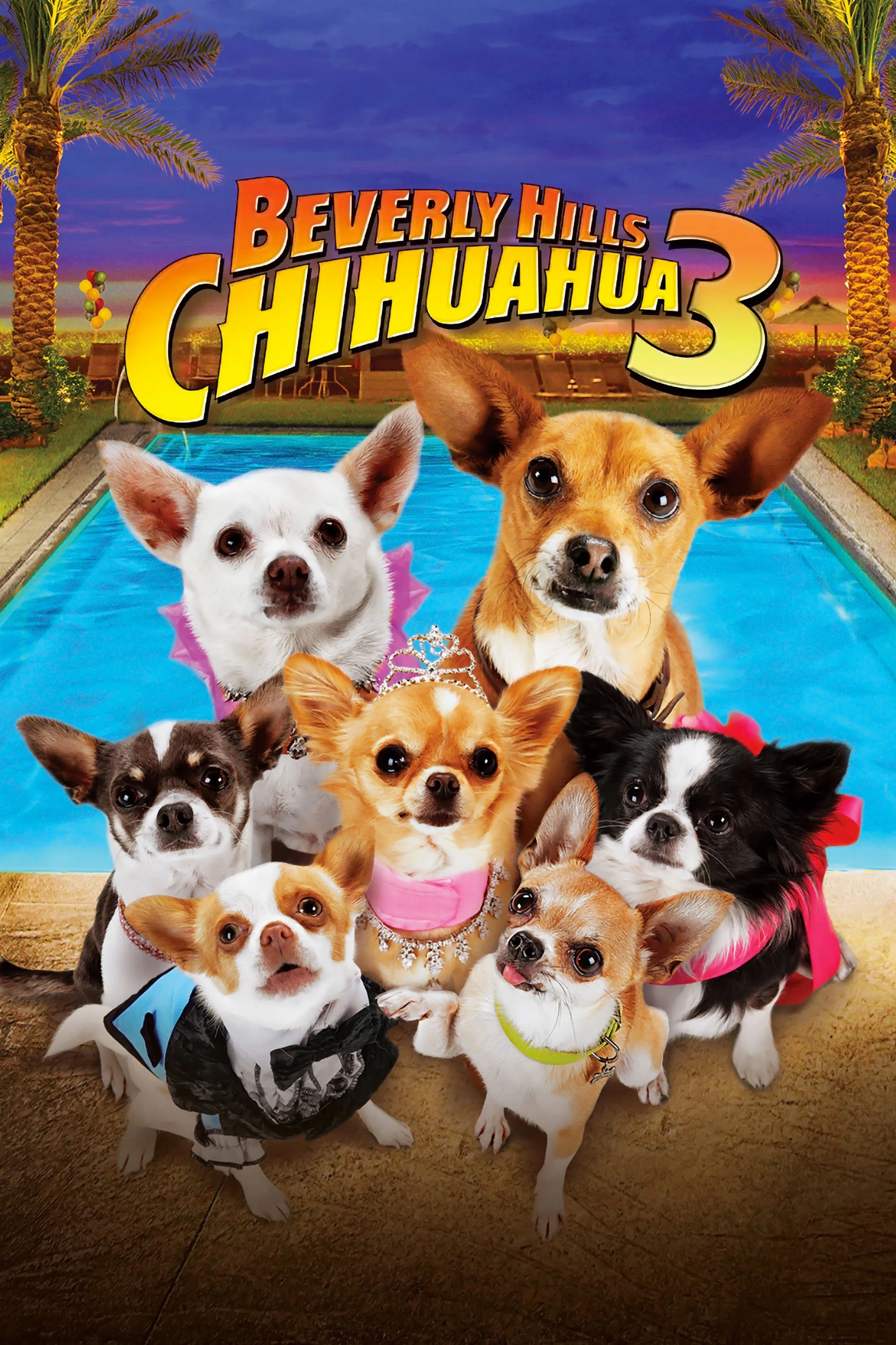 Phim Những Chú Chó Chihuahua 3 - Beverly Hills Chihuahua 3: Viva la Fiesta! (2012)