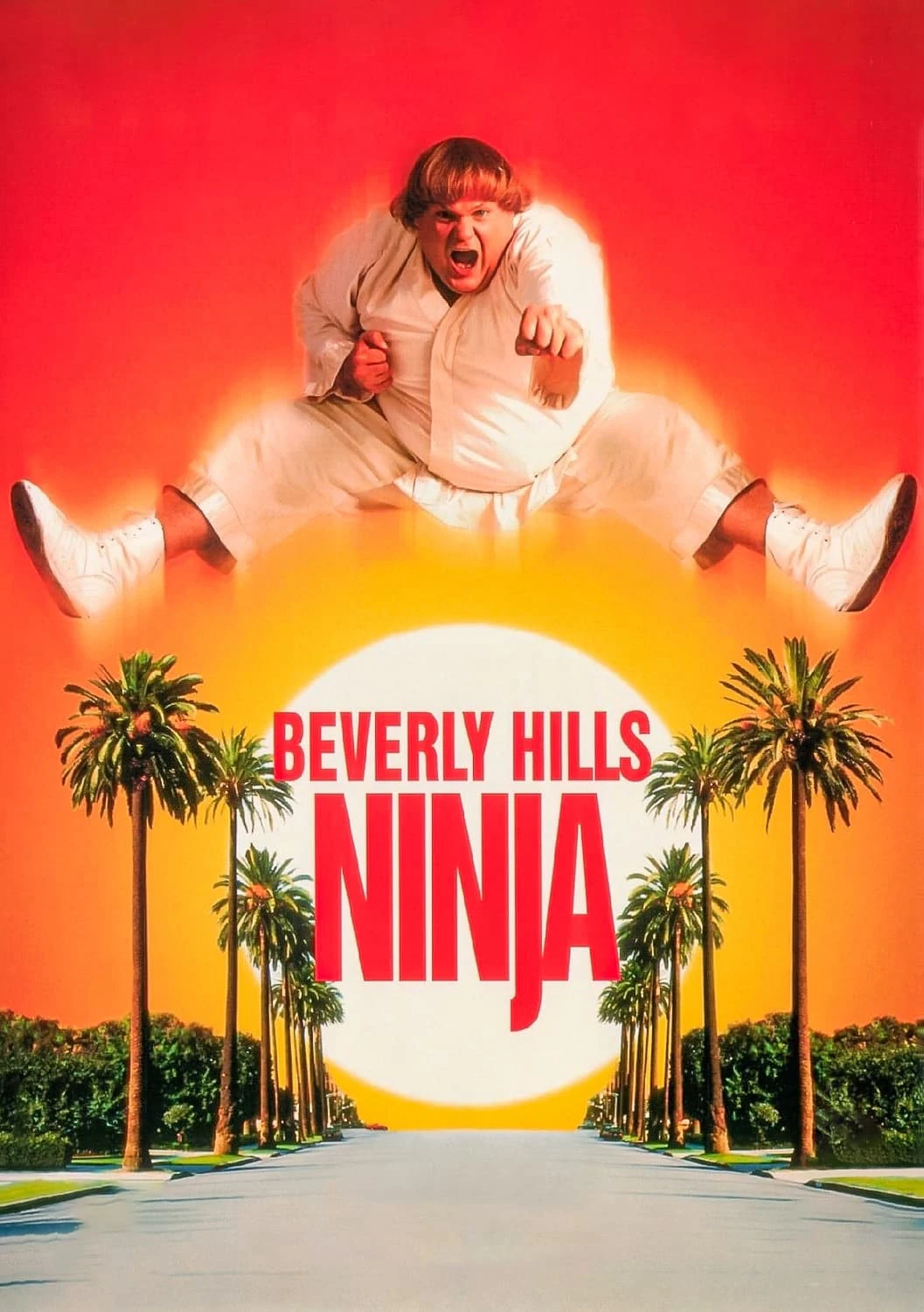 Phim Ninja Béo Ù - Beverly Hills Ninja (1997)