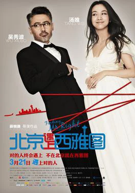 Phim Truy tìm người hoàn hảo - Finding Mr. Right (2013)