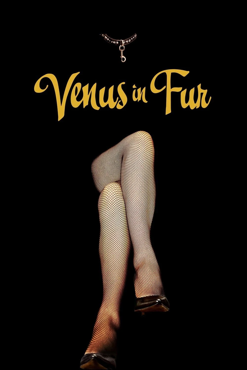 Phim Vệ nữ áo lông - Venus in Fur (La Vénus à la fourrure) (2013)